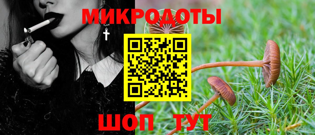 Тында  Псилоцибиновые грибы мухоморы  Вход с VPN 